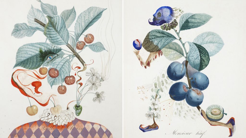 In pictures: Salvador Dali fruit watercolours - BBC News