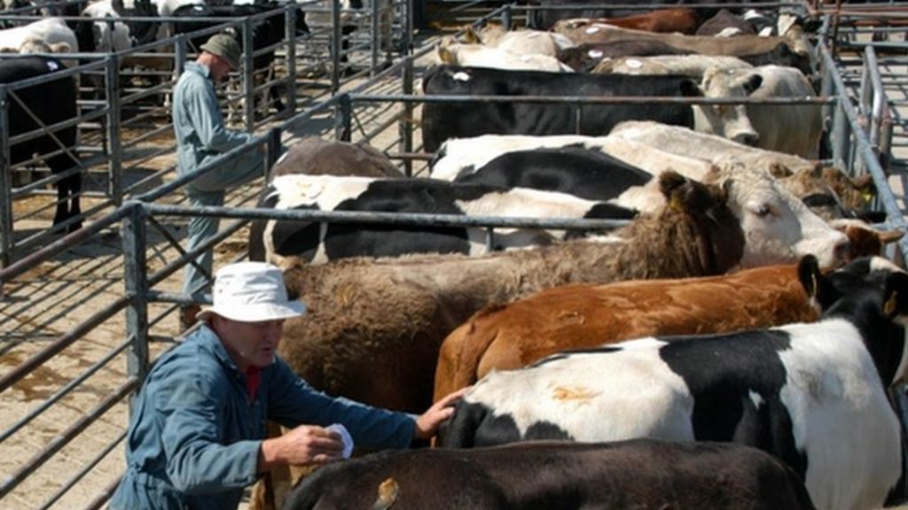 Darlington Cattle Market Move Hope Bbc News 