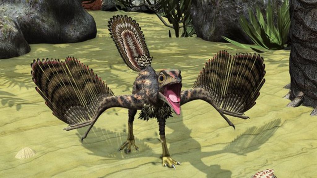 Feathered dinosaurs had 'flightready' brains BBC News