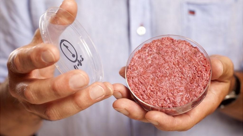 Worlds First Lab Grown Burger Is Eaten In London Bbc News