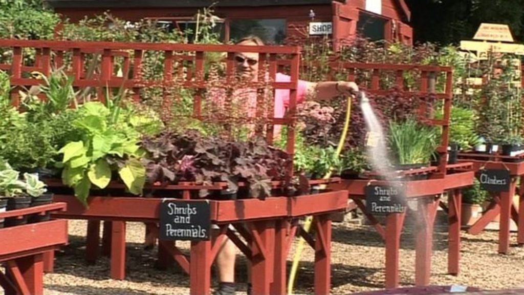 Chestnut Nursery in Poole wants to expand BBC News