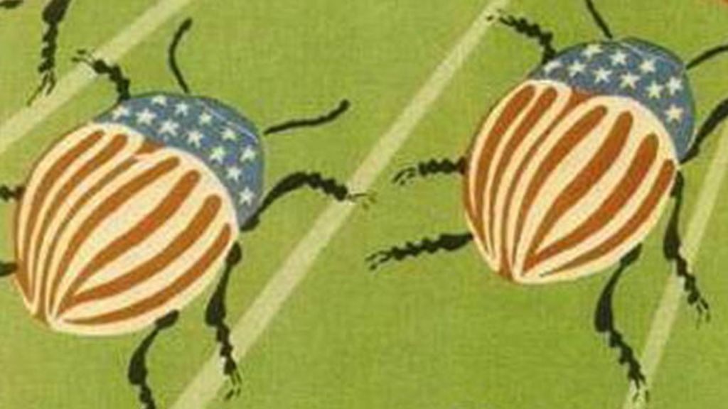The Great Cold War Potato Beetle Battle c News