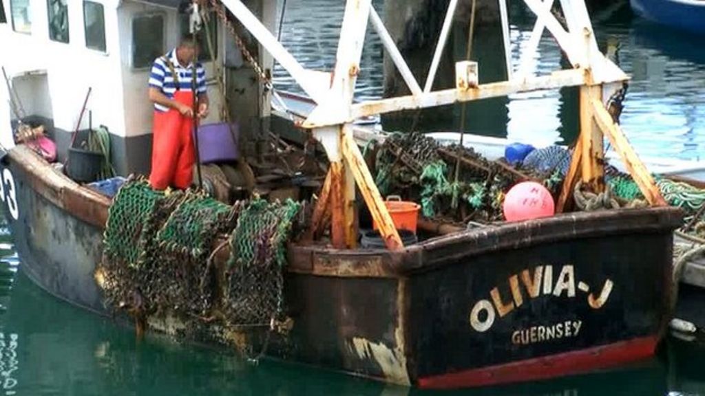Guernsey to offer free fishing licences for under25s BBC News