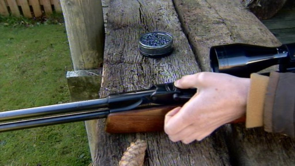 Scottish airgun licensing bill introduced BBC News