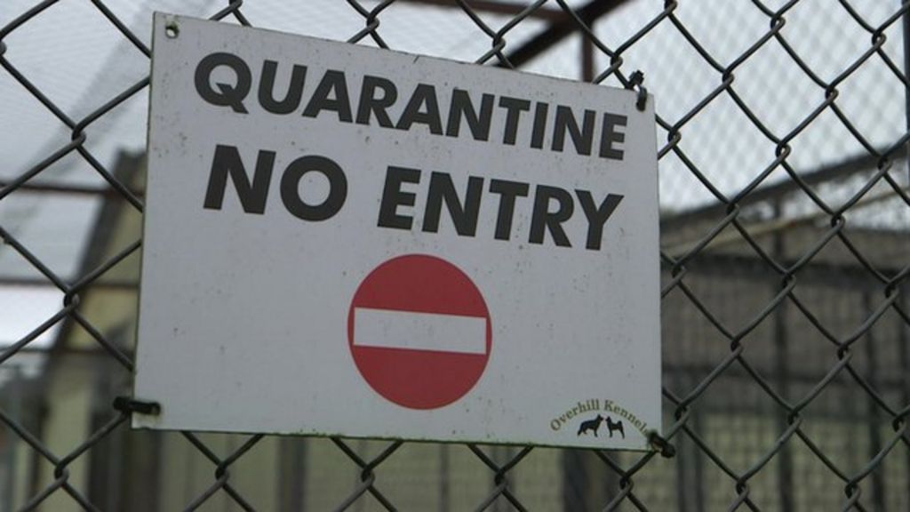 Rabies Vets warn of threat to UK as quarantine rules change BBC News