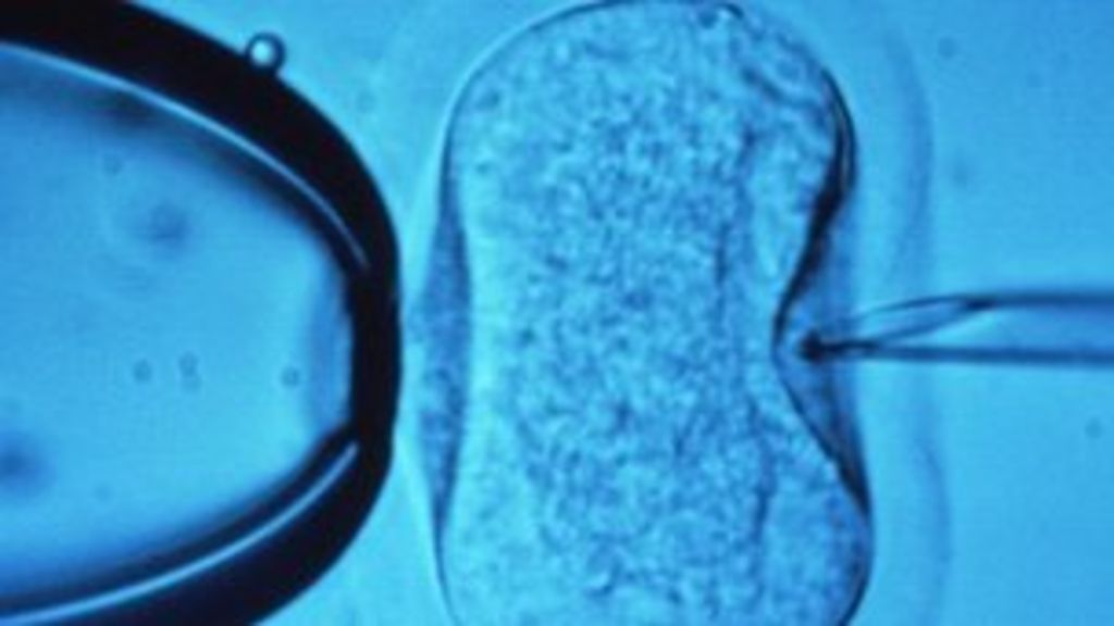 Fertility Chief Calls For Clarity On Ivf Pros And Cons Bbc News