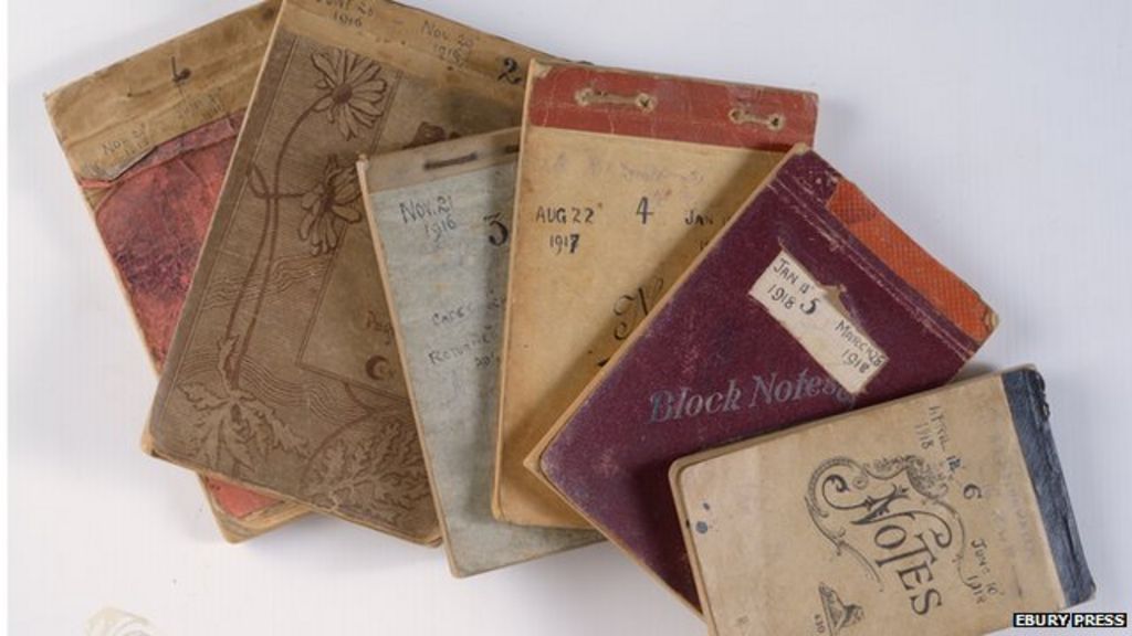 'Secret' WWI diary paints 'vivid and visceral' picture BBC News