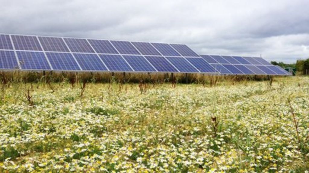 solar-farm-company-plans-20-northern-ireland-sites-bbc-news