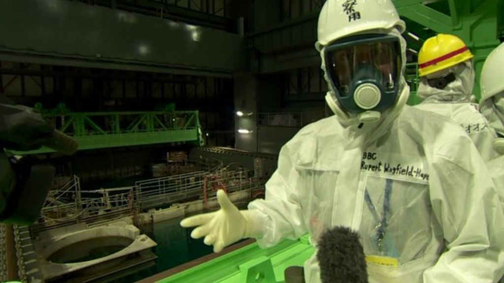 Fukushima's Fuel Rod Removal Plan - BBC News