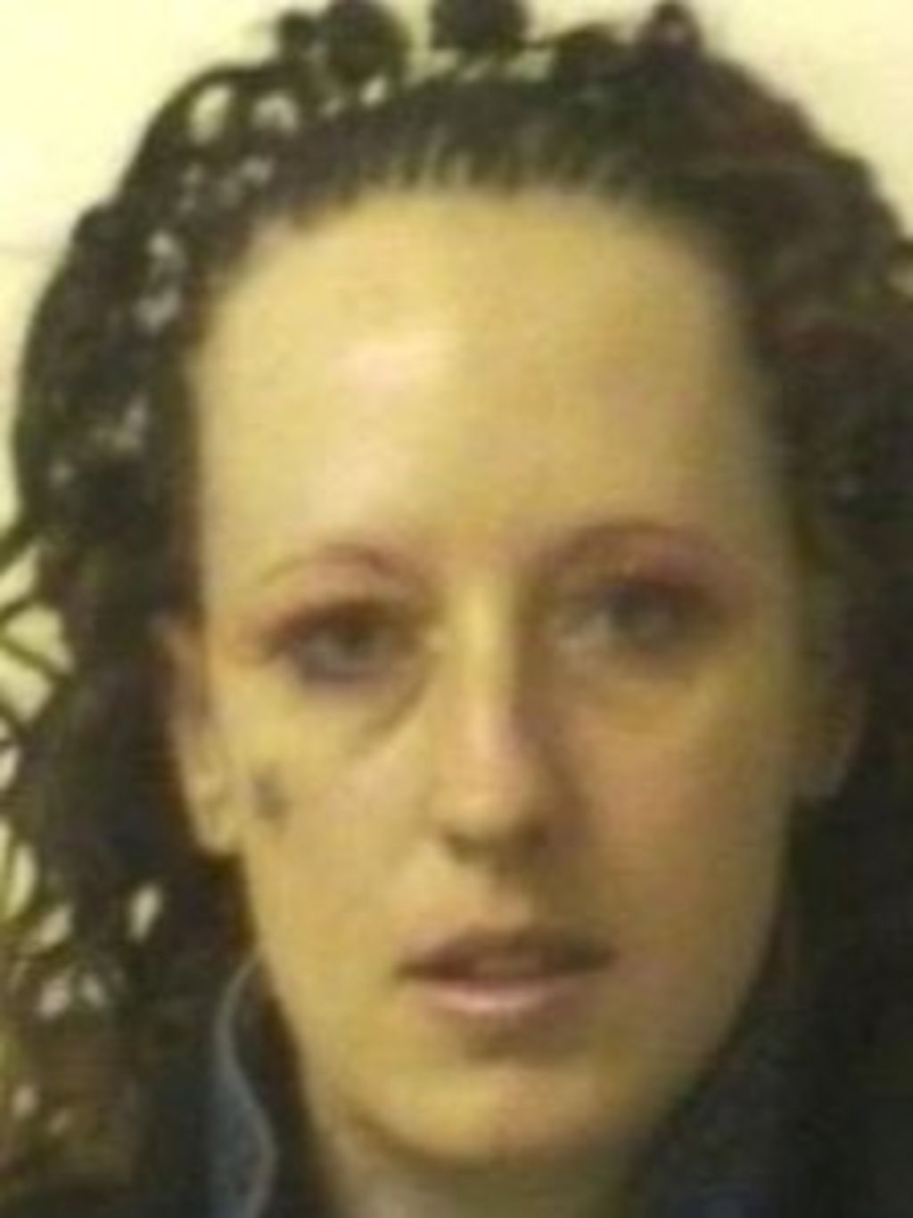 Peterborough ditch deaths Joanna Dennehy pleads guilty BBC News