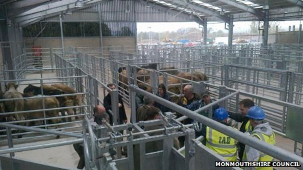 Livestock market move from Abergavenny 'crucial,' union says BBC News