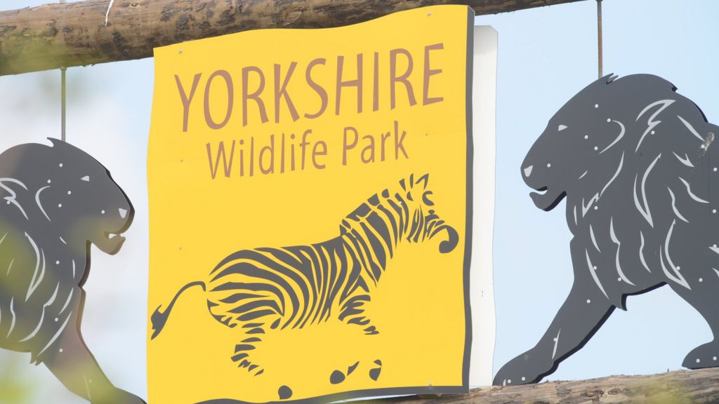 Yorkshire Wildlife Park Expansion Creates 100 New Jobs - BBC News