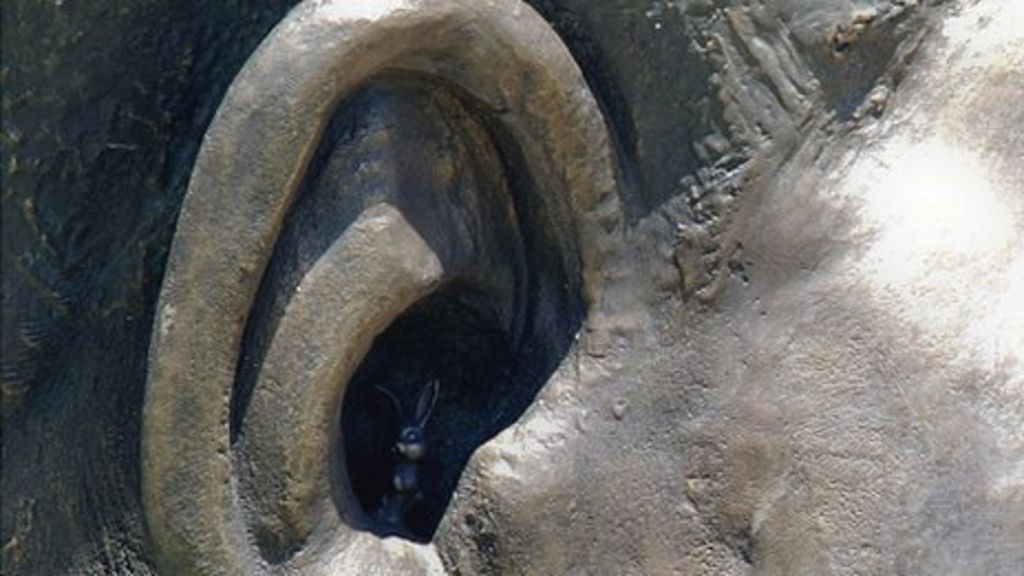 Mandela statue Row over rabbit in Nelson's ear BBC News