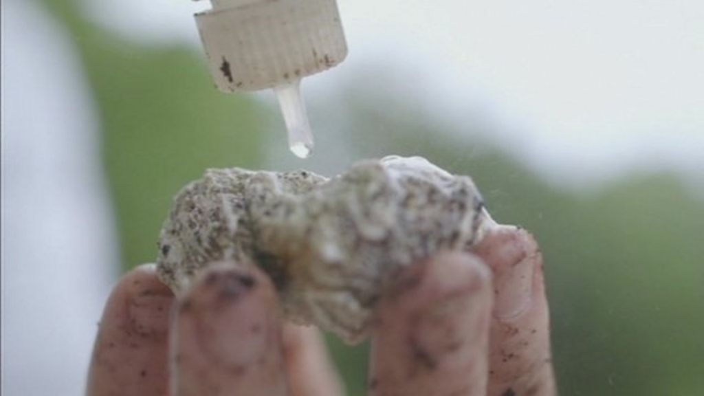 How limestone sinkholes are formed BBC News