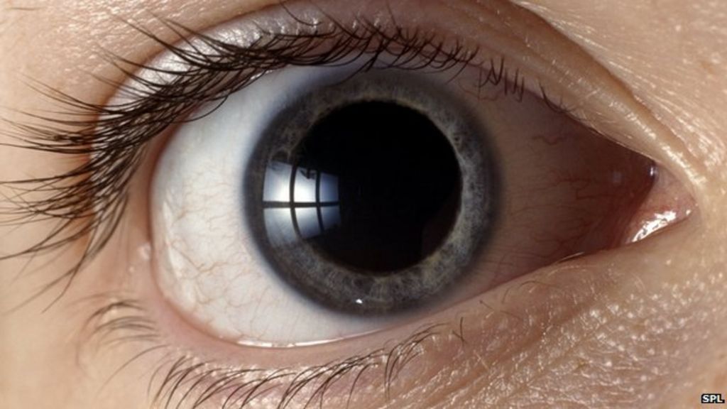 Drug lets blind eyes 'see light' BBC News