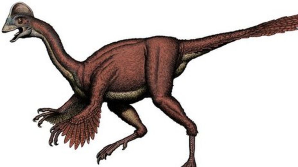 US Scientists discover 'chicken from hell' dinosaur BBC News