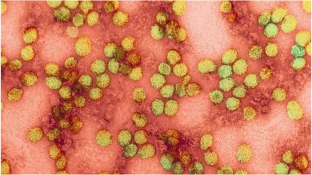 yellow-fever-in-brazil-the-latest-global-health-security-threat