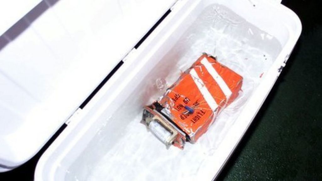 what does a black box look like? BBC Newsround