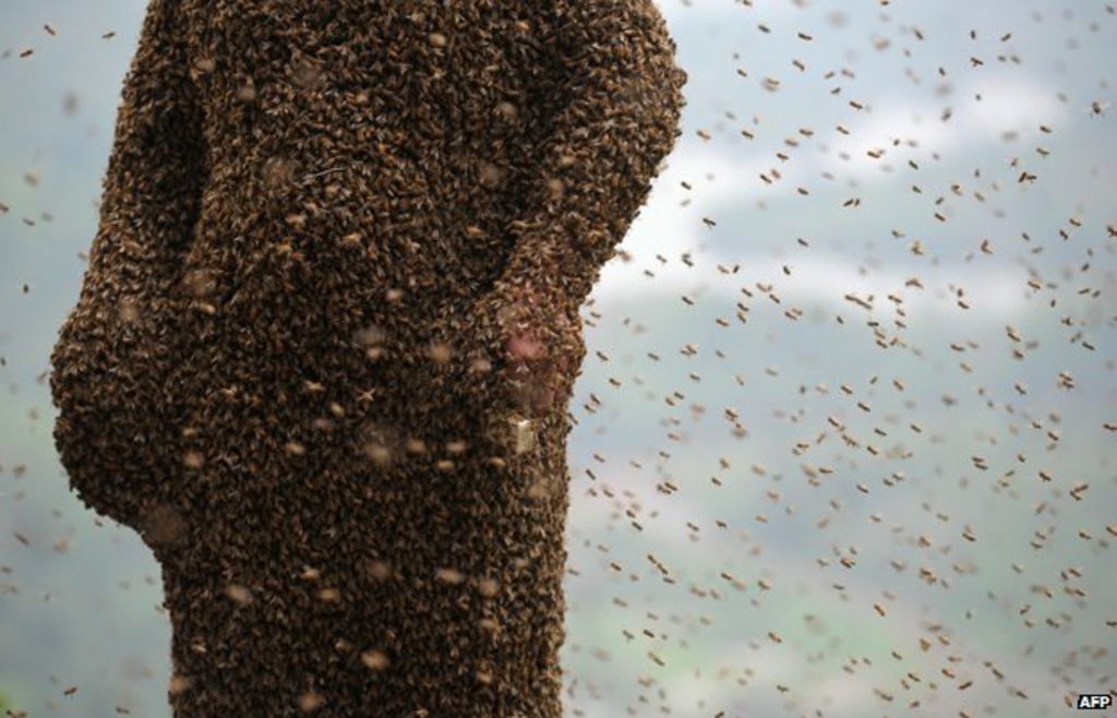 Victorian strangeness The man who was covered in bees BBC News