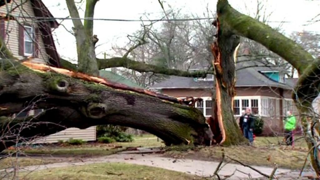 Michigan thunderstorms wreak havoc for residents BBC News
