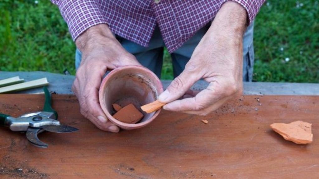 Are Gardeners Wrong To Put Crocks In Plant Pots Bbc News