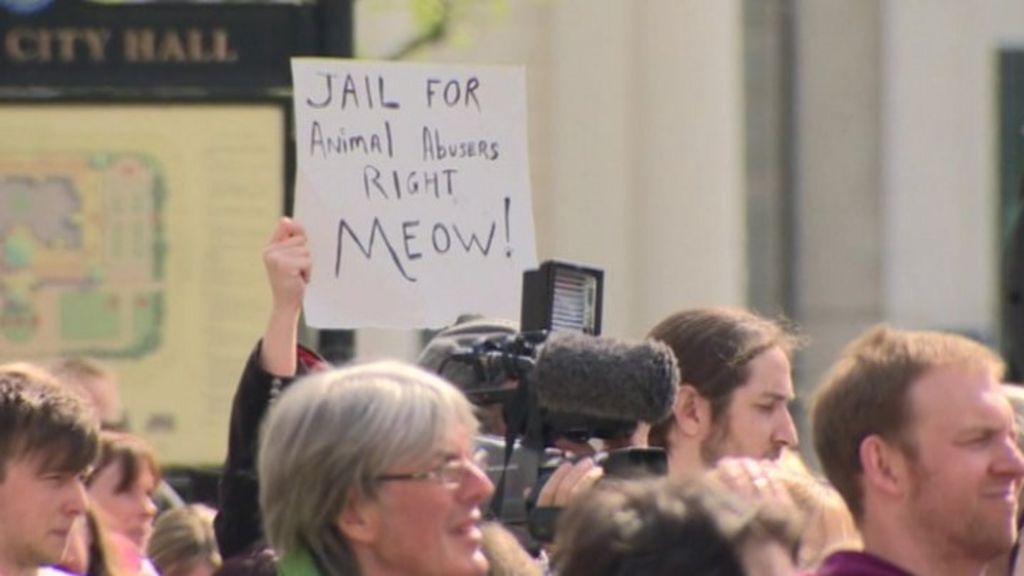 Hundreds attend animal rights rally - BBC News