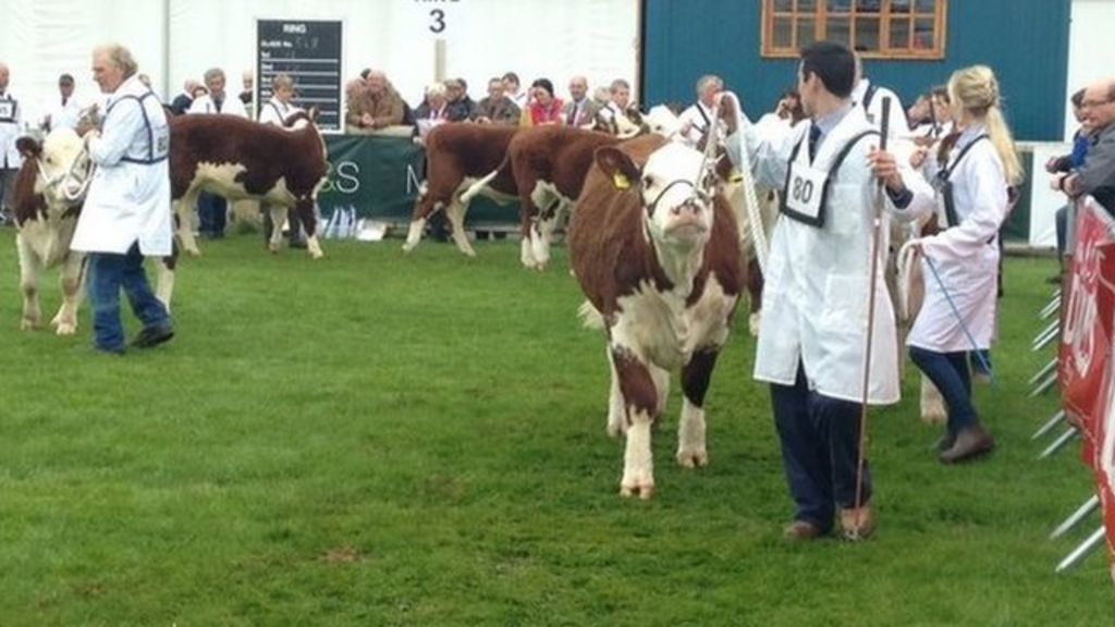 Balmoral Show Begins At Maze Prison Site Near Lisburn Bbc News 