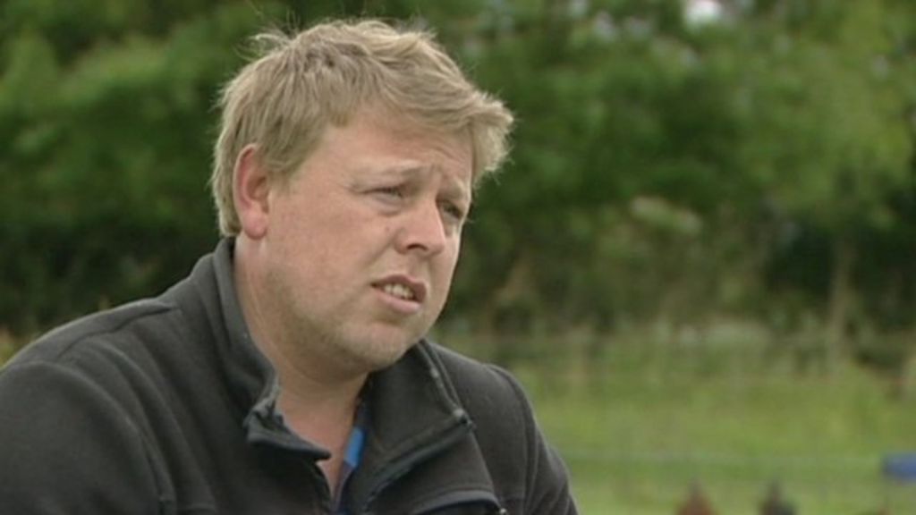 UK floods: Somerset farmers still struggling - BBC News