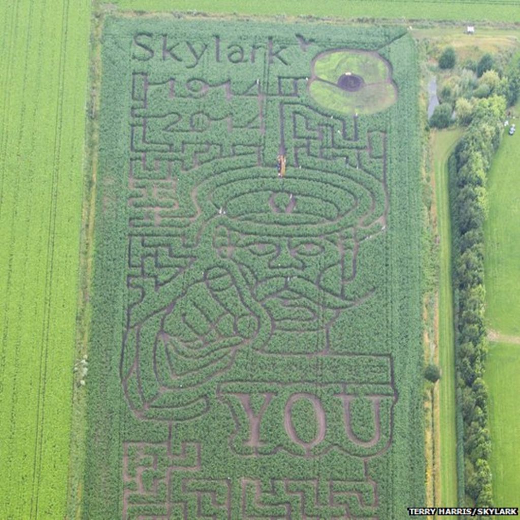 Lord Kitchener WW1 Poster Created In Cambridgeshire Maize Maze BBC News    76357339 2014 07 18 20140718 5 