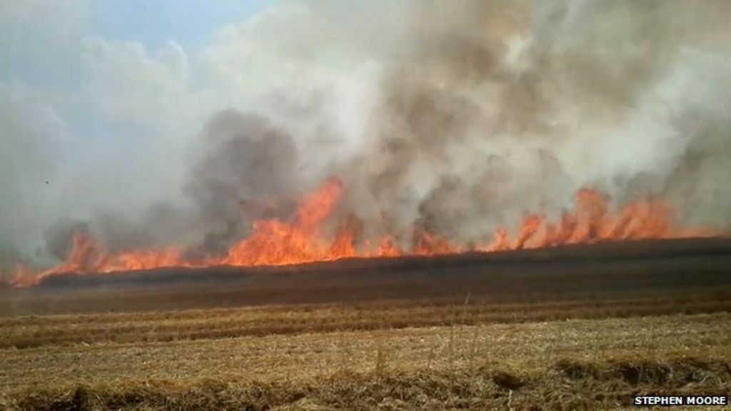 Salisbury Plain fire destroys crops BBC News