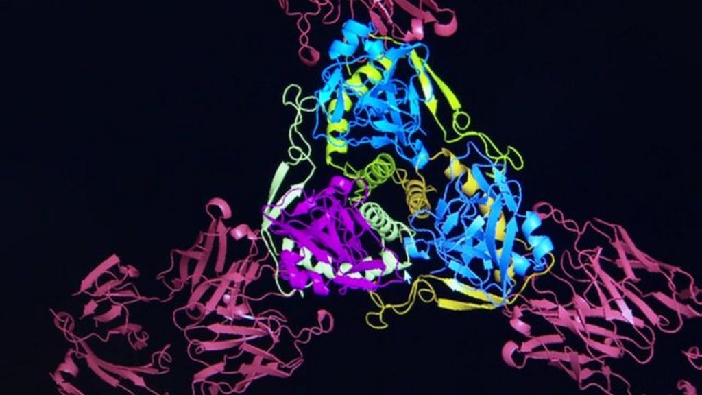 Can Us Secret Serum Stop Ebola Outbreak Bbc News