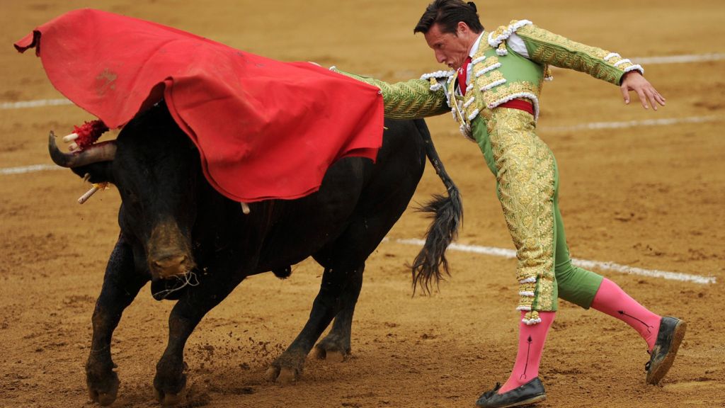 Colombia Bogota Bullfighters Stage Hunger Strike Bbc News