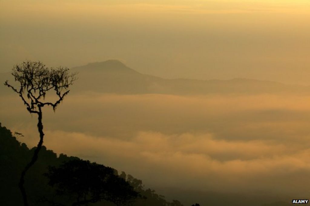 Silent Darien: The gap in the world's longest road - BBC News