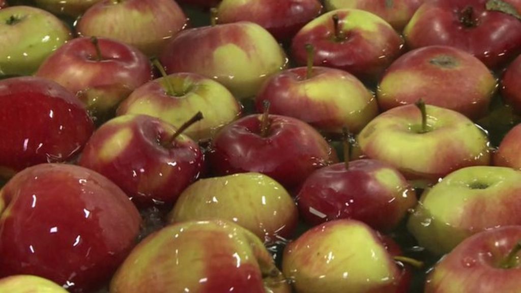 Russia EU food ban Polish apple crop feels the crunch BBC News