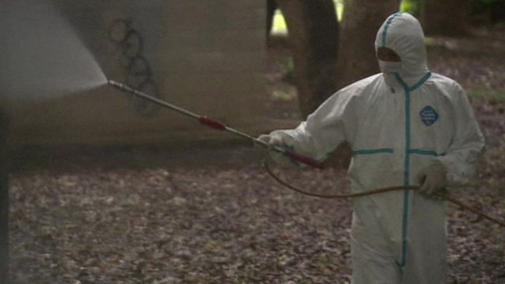 Japan tackles first dengue fever outbreak in 70 years BBC News