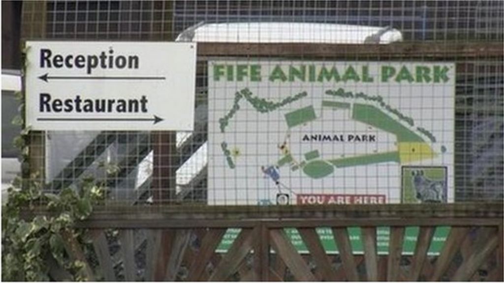 Fife Animal Park owner faces animal welfare charges BBC News
