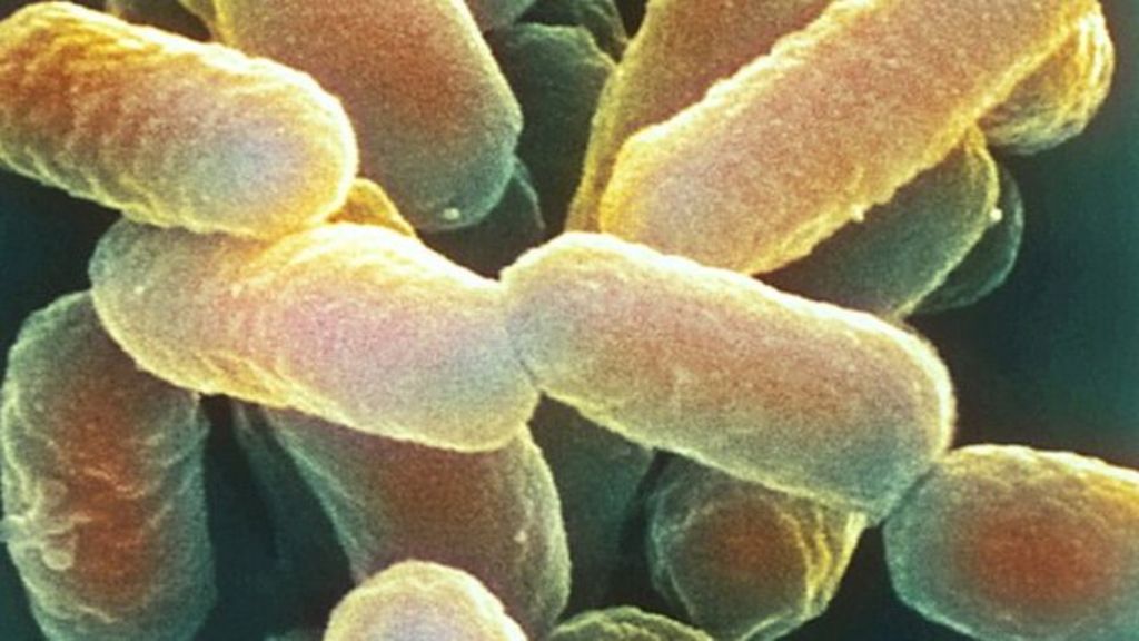 Novel antibiotic class created - BBC News