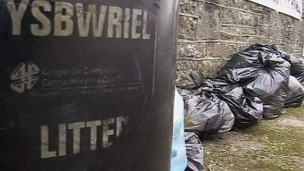 Carmarthen man fined £200 for wrong day rubbish BBC News