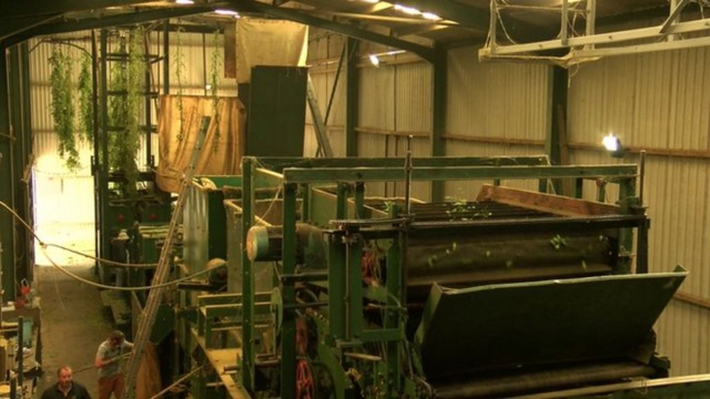 The historic hoppicking machine BBC News