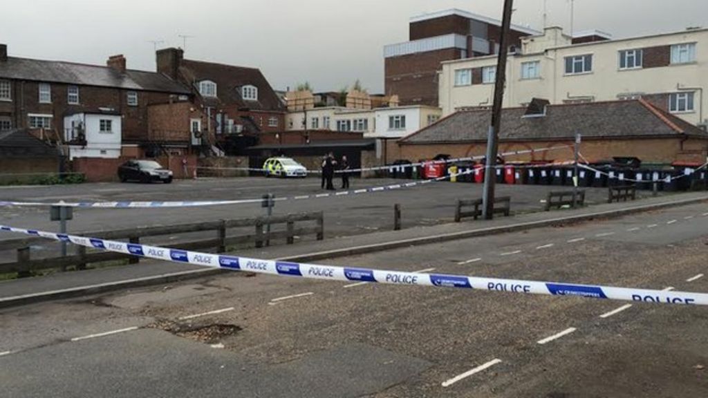 Man Arrested On Suspicion Of Chelmsford Murder Bbc News