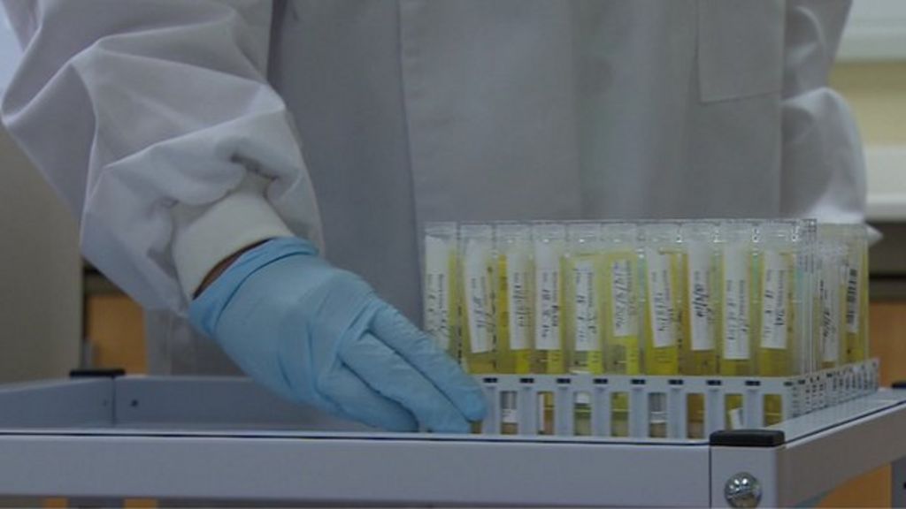 Workplace drug testing 'on the rise', say providers BBC News