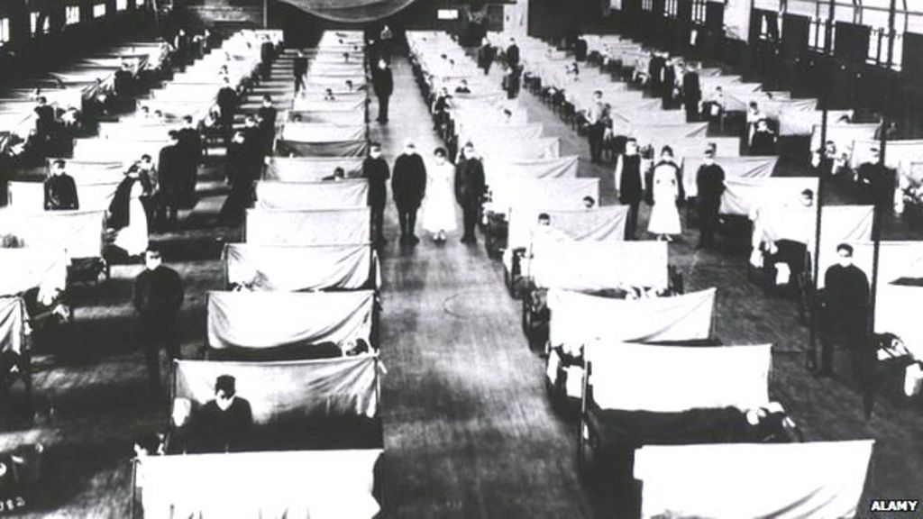 viewpoint-the-deadly-disease-that-killed-more-people-than-ww1-bbc-news