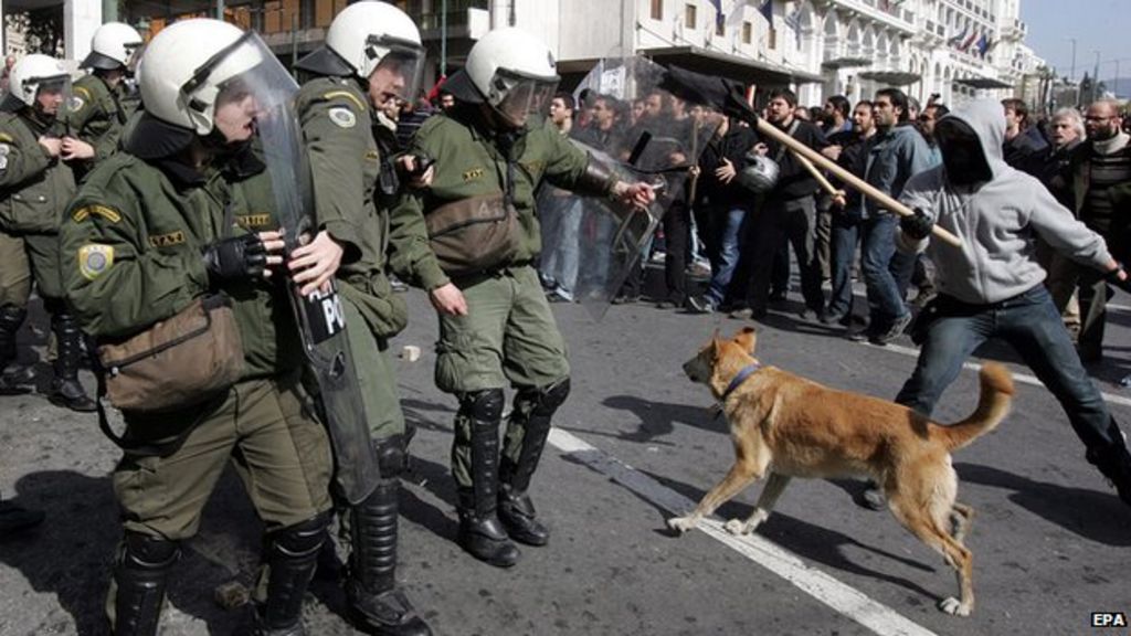 Famous Greek riot dog Loukanikos dies - BBC News