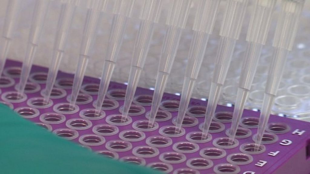 Ebola crisis Vaccine 'too late' for outbreak BBC News