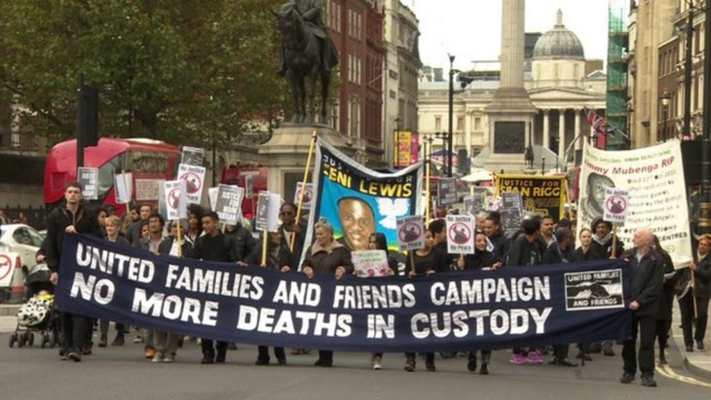 Protest over police custody deaths takes place in London - BBC News