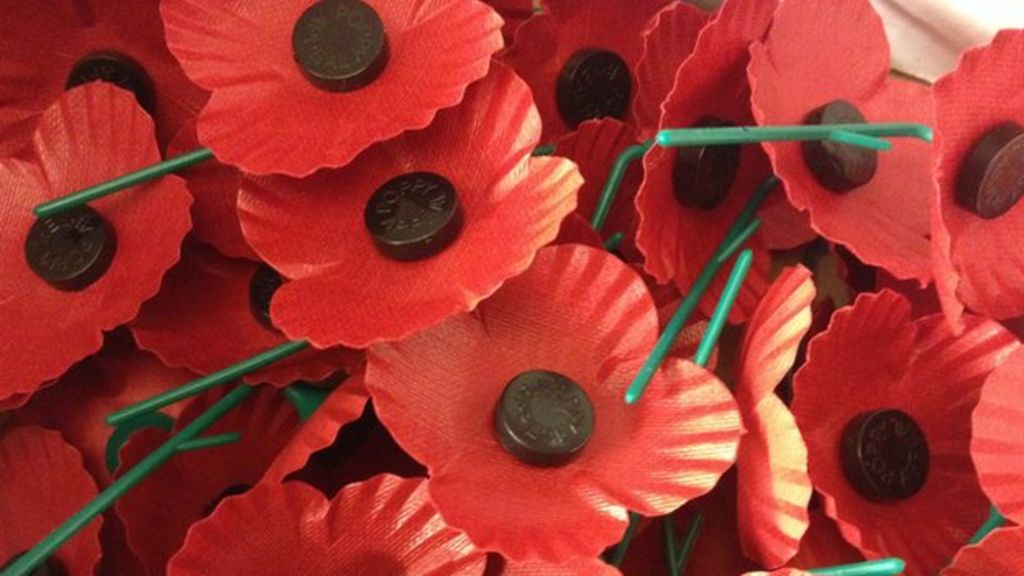 Scottish Poppy Appeal Launched By Judy Murray Bbc News