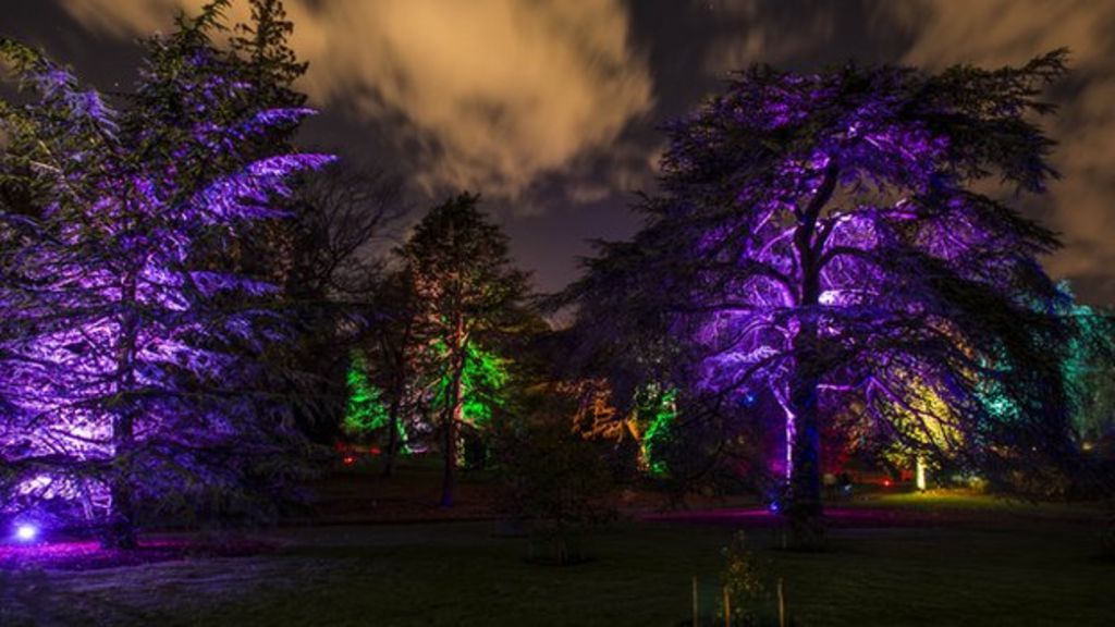 Show To Light Up Royal Botanic Garden In Edinburgh Bbc News