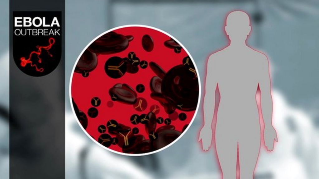 How can Ebola be treated with a survivor's blood? BBC News