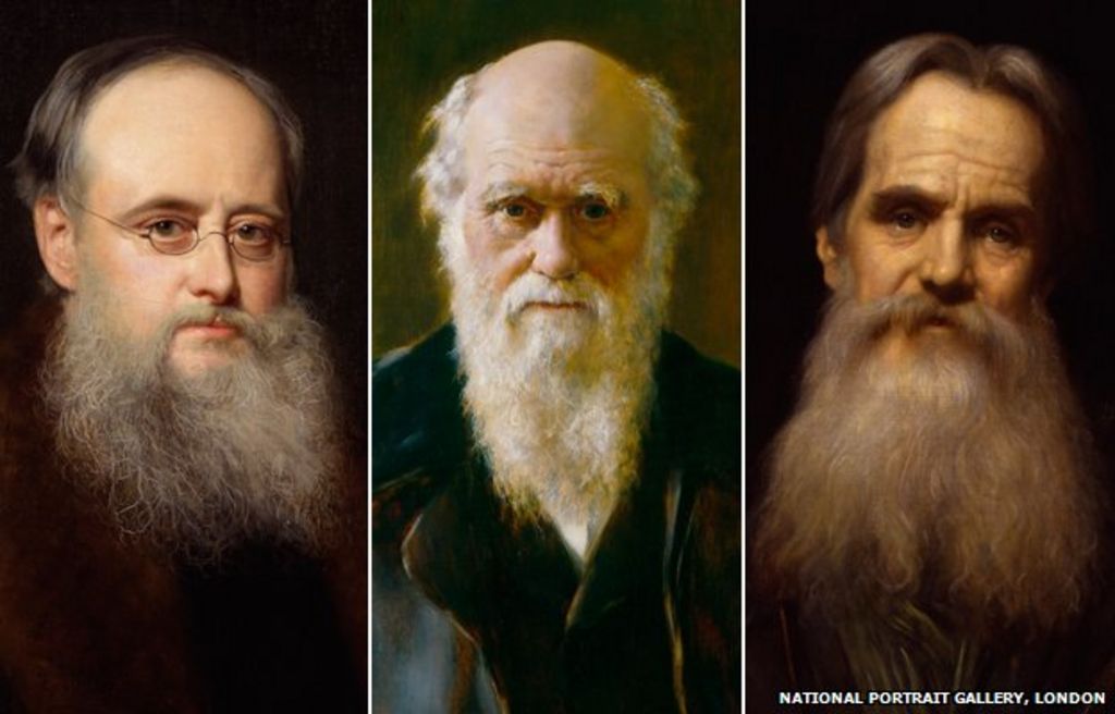 The Great Victorian Beard Craze Bbc News