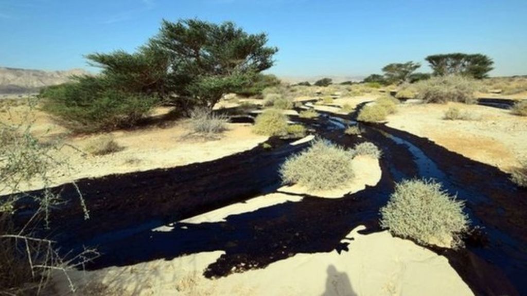 Israeli Desert Hit By Major Oil Spill Bbc News